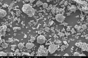 (b) SEM image of LQFA