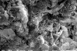 5 SEM images of different samples(a) Control 12 h(b) S1.5 12 h(c) S1.5N4 12h(d) Control 28 d(e) S1.5 28 d(f) S1.5N4 28 d