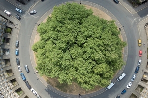 Cemex plans to accelerate circular economy efforts in the built environment