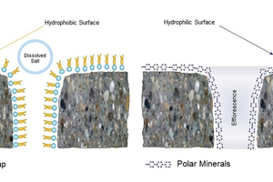 1 Schematic view of how metallic soaps can prevent efflorescence