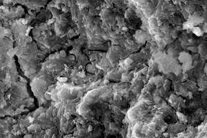 10 SEM images of SAC pastes with different content of styrene-acrylic latex(a) Control-6 h(b) Control-28 d(c) P2-6 h(d) P2-28 d(e) P8-6 h(f) P8-28 d