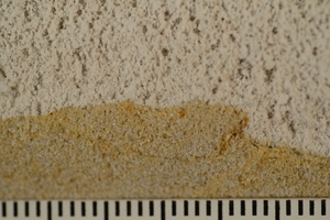5 Detail of a core sample from a filled wall. Very good connection between foam plaster (top) and stone (bottom)