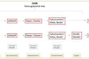 Overview of the scope of the timber supply chain under the EUDR