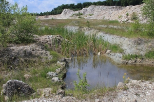 1 Impressions of the two German participants in Eurogypsum‘s first Biodiversity Award 2024. In the Biodiversity category, the prize went to Matthias Reimann/Knauf Gips KG